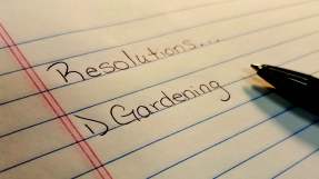 resolutions