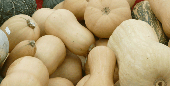 musky-winter-squashes-61289_1920.png