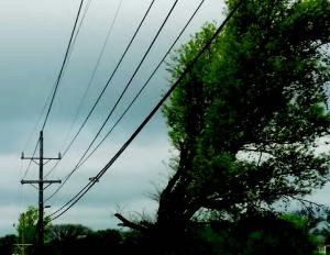 powerline problem adam leonberger